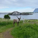 Sea View Near Senja The Yellow House * Brostadbotn
