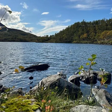 The Yellow House - Nordic Horn Tatil Evi