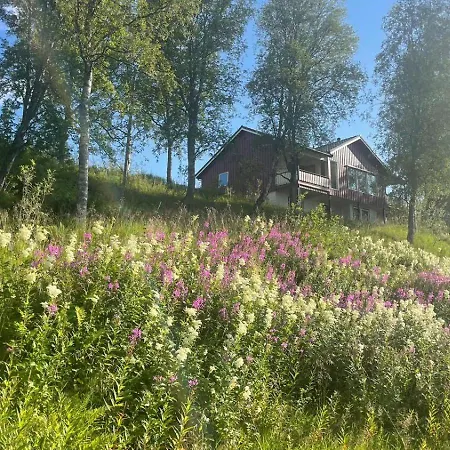 Sea View Near Senja The Yellow House Дом отдыха Brostadbotn