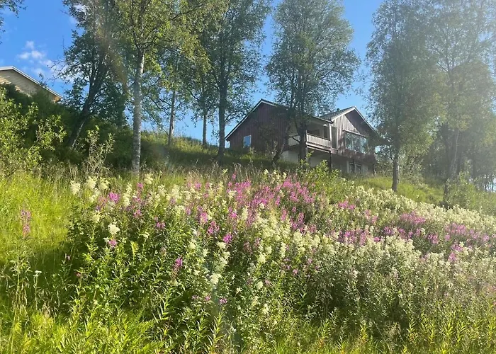 Sea View Near Senja The Yellow House Vakantiehuis Brostadbotn