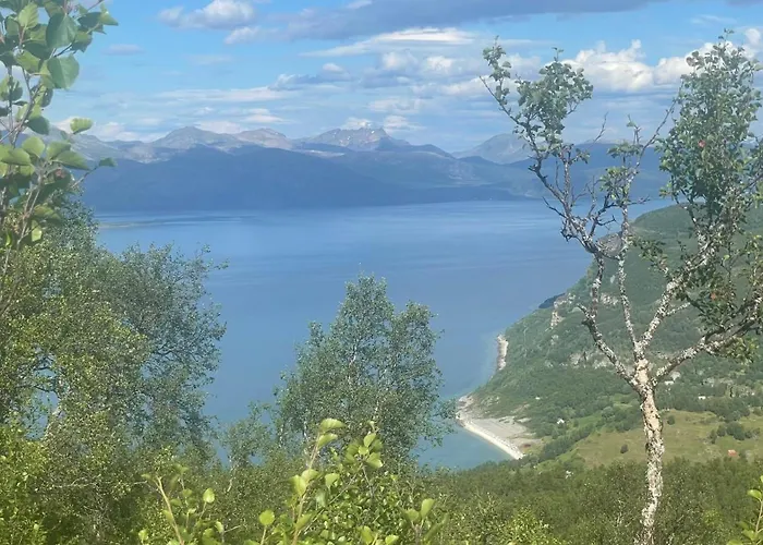 Sea View Cabin Near Senja The Yellow House 度假居 Brostadbotn